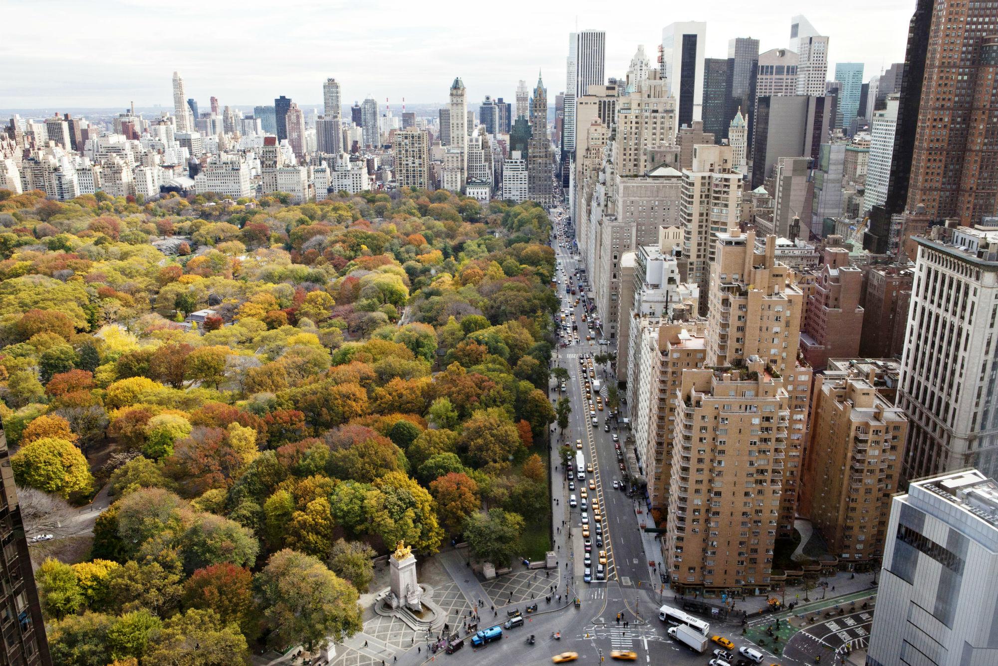 New york is a city that. Центральный парк Нью-Йорк. Парк Манхэттен Нью-Йорк. Центральный парк Манхэттен. Осень Нью Йорк Манхэттен.
